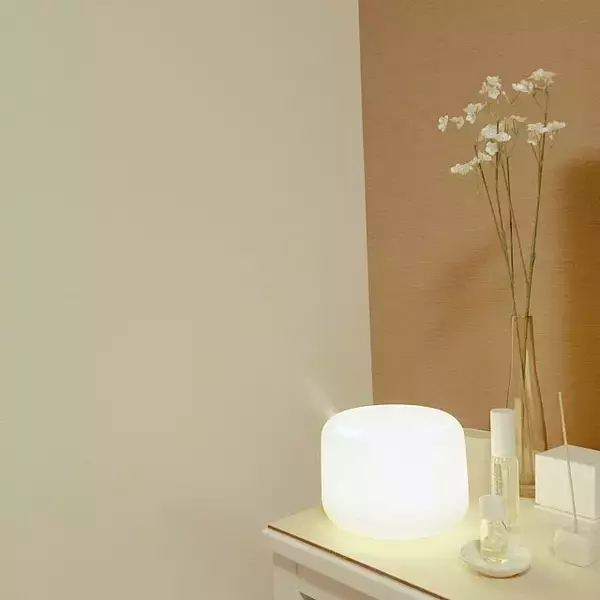 「乾燥が気になるときに☆無印良品の加湿器で潤いをプラス」の画像