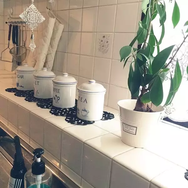 「何を入れるか迷っちゃう！食卓を彩るキャニスター」の画像