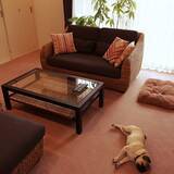 「今、何がおすすめ？アジアンリゾートスタイルのインテリア」の画像2