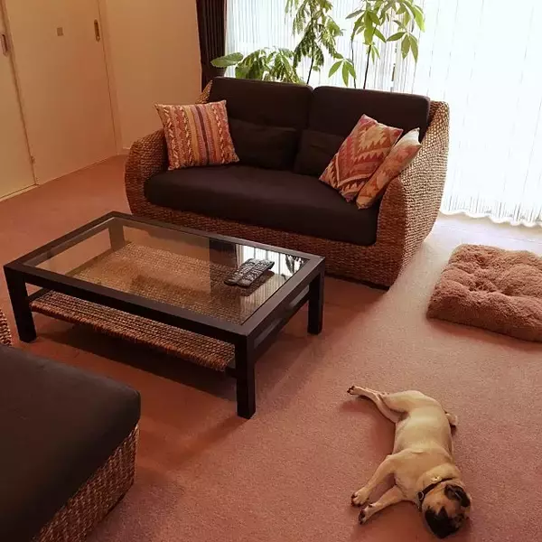 「今、何がおすすめ？アジアンリゾートスタイルのインテリア」の画像