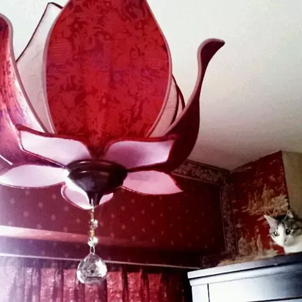 「今、何がおすすめ？アジアンリゾートスタイルのインテリア」の画像