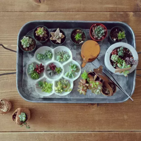 「100円に見えない！100均で手に入る陶器系雑貨たち」の画像