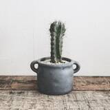 「100円に見えない！100均で手に入る陶器系雑貨たち」の画像8