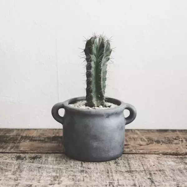 「100円に見えない！100均で手に入る陶器系雑貨たち」の画像