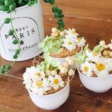 「100円に見えない！100均で手に入る陶器系雑貨たち」の画像6