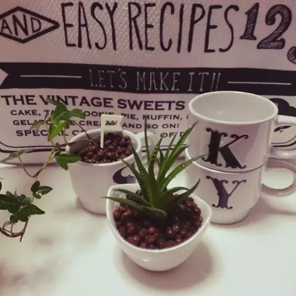 「100円に見えない！100均で手に入る陶器系雑貨たち」の画像