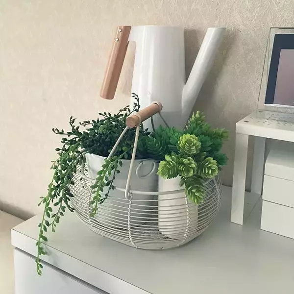 「こんな使い方があるなんて！絵になるIKEAのじょうろたち」の画像