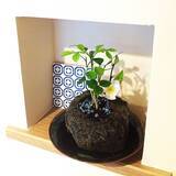 「情緒と洗練さを！和モダンインテリアの実例10選」の画像4