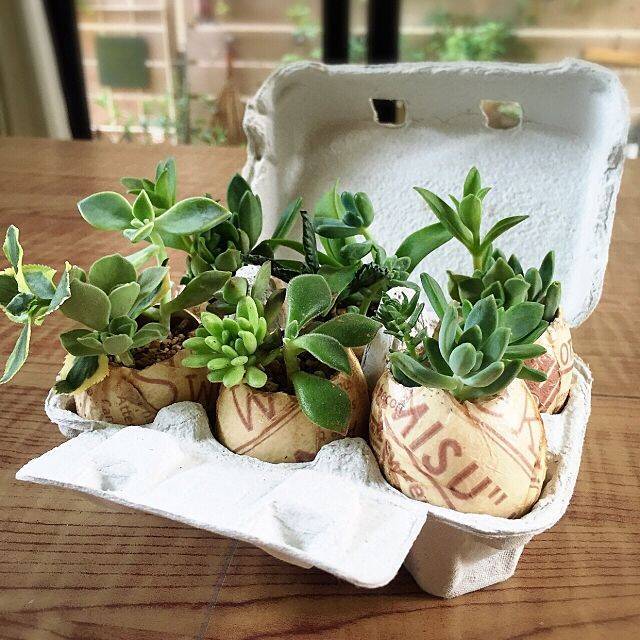 組み合わせでセンス倍増♡ペーパーナプキンの賢い使い方