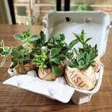 「組み合わせでセンス倍増♡ペーパーナプキンの賢い使い方」の画像6