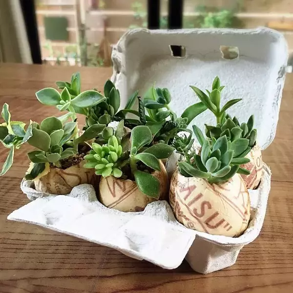 「組み合わせでセンス倍増♡ペーパーナプキンの賢い使い方」の画像