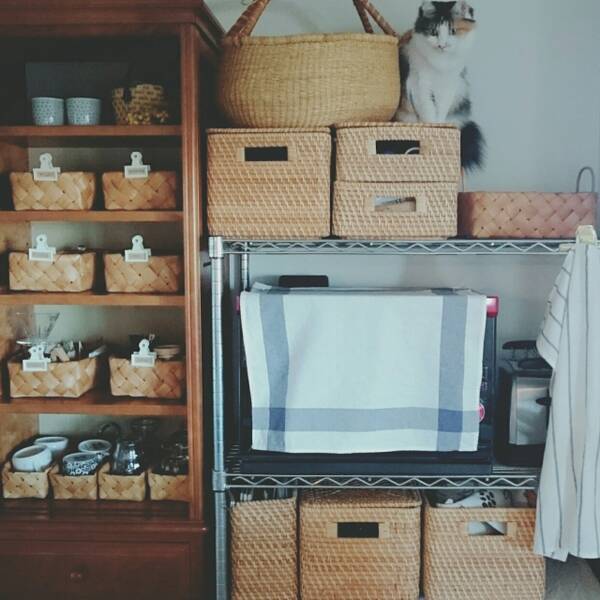 お部屋をセンスアップ ニトリと無印良品のラタン収納 18年9月14日 エキサイトニュース