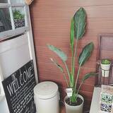 「インテリアにも馴染む！無印良品・ニトリの便利なゴミ箱」の画像7