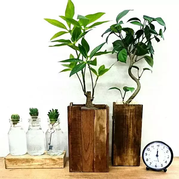 「グリーンをおめかし☆鉢カバーDIYでお部屋をセンスアップ」の画像