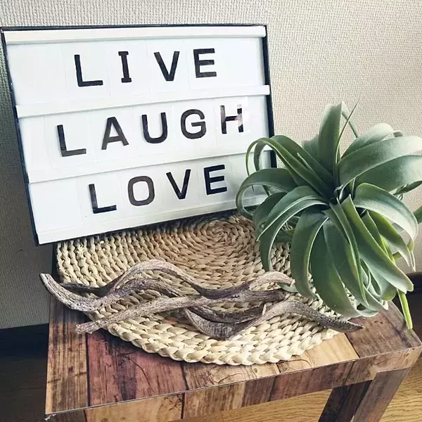 「「配線カバーがイイ仕事！簡単＆安心DIYライトボックス」 by Rさん」の画像