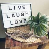 「「配線カバーがイイ仕事！簡単＆安心DIYライトボックス」 by Rさん」の画像1