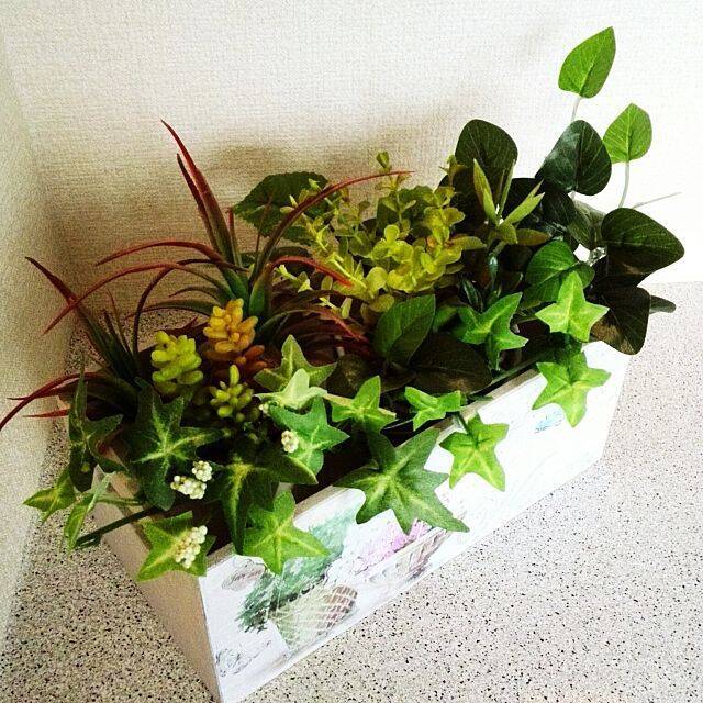 クオリティの高さに驚き ダイソーのフェイクグリーン 17年10月13日 エキサイトニュース 2 3 クオリティの高さに驚き ダイソーのフェイクグリーン 17年10月13日 エキサイトニュース 2 3