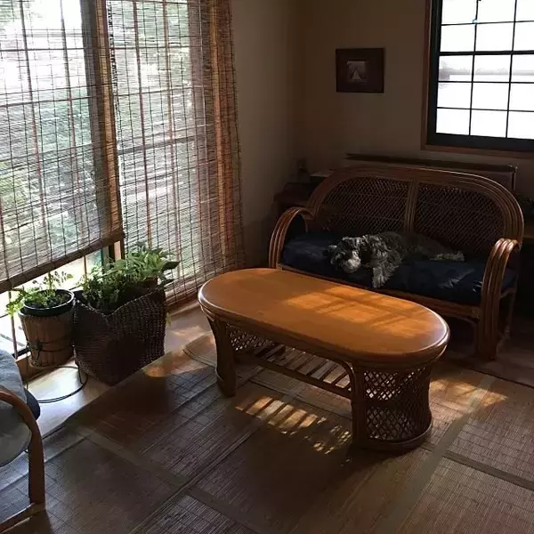 「家で過ごすのが一番幸せ！くつろぎ空間を作る10のヒント」の画像