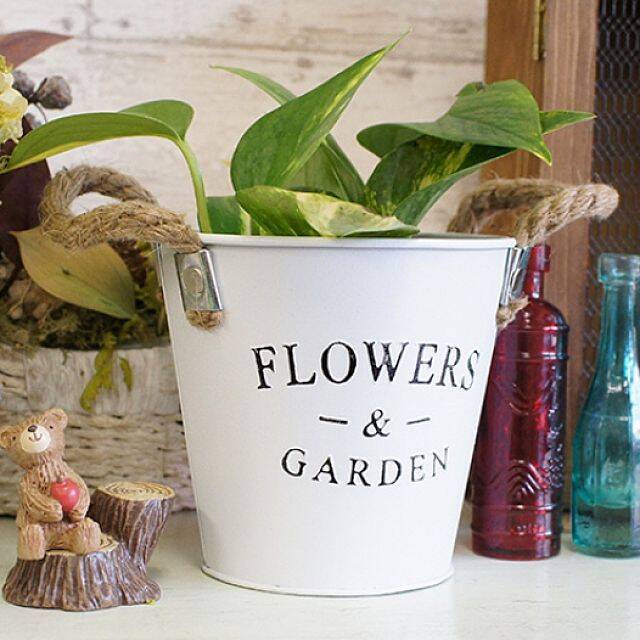 家事がもっと楽しくなるかも☆みんなの最愛バケツカタログ