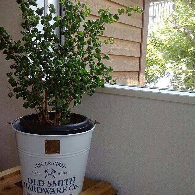 家事がもっと楽しくなるかも☆みんなの最愛バケツカタログ