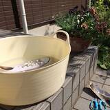 「家事がもっと楽しくなるかも☆みんなの最愛バケツカタログ」の画像7