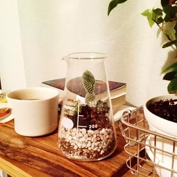 「美しく、そして機能的。世界中で愛されるハリオの魅力」の画像