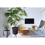 「この眺めは日本じゃない！海外のようなハイセンスリビング」の画像5