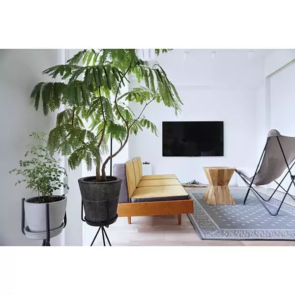 「この眺めは日本じゃない！海外のようなハイセンスリビング」の画像