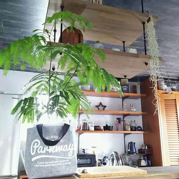 「技あり変身！ササッとできる100均アイテムの意外な使用法」の画像