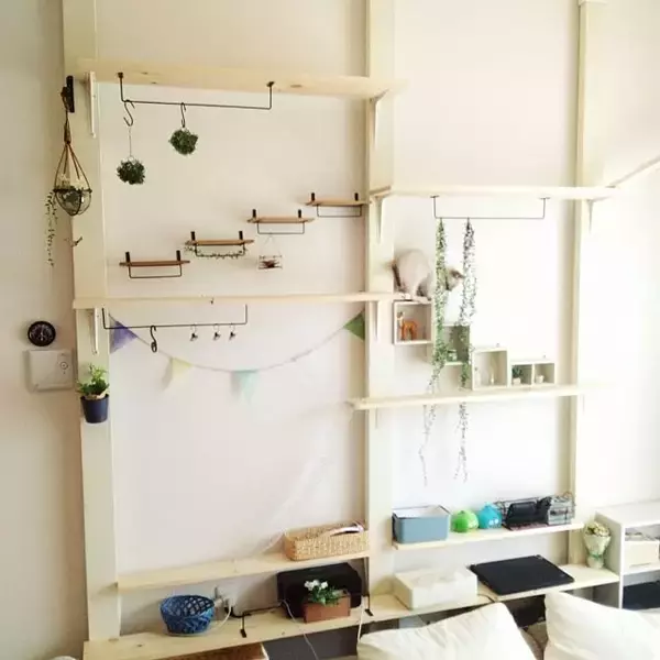 「猫と暮らす♡リビングのキャットウォーク、タワーDIY実例」の画像