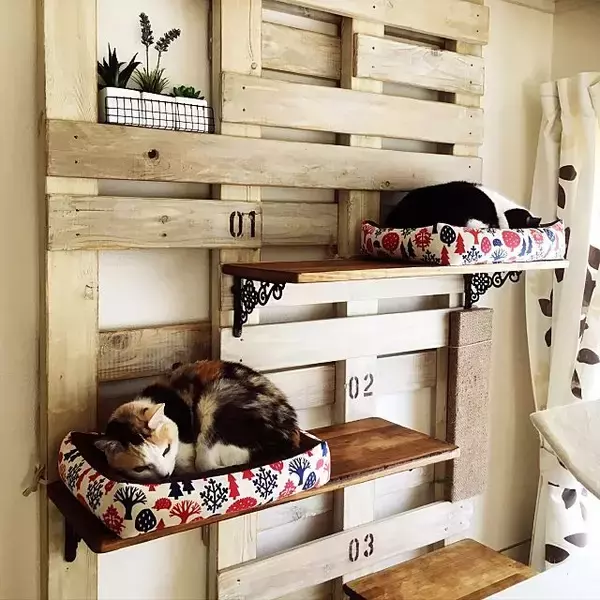 「猫と暮らす♡リビングのキャットウォーク、タワーDIY実例」の画像
