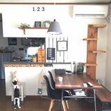 「猫と暮らす♡リビングのキャットウォーク、タワーDIY実例」の画像1