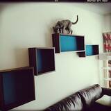 「猫と暮らす♡リビングのキャットウォーク、タワーDIY実例」の画像7