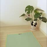 「自宅でリラックス空間♪即実践したいヨガスペースの作り方」の画像3