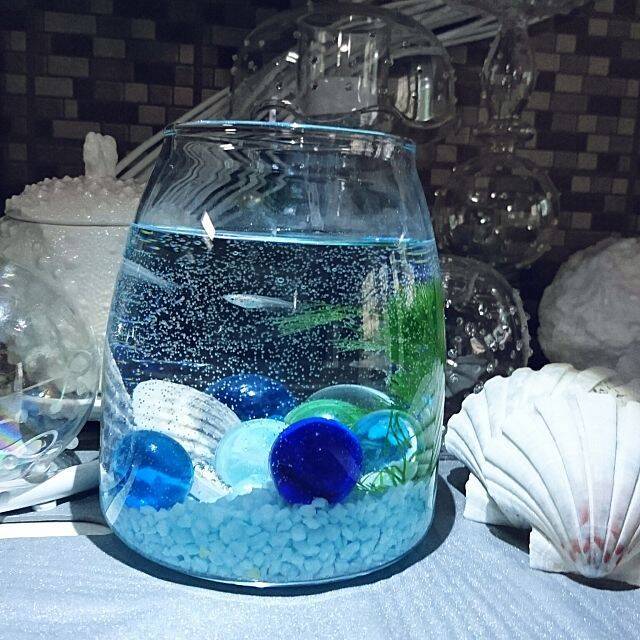 どの素材もいい！ダイソーキャニスターの使いやすさを紹介