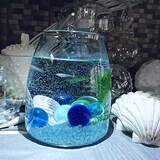 「どの素材もいい！ダイソーキャニスターの使いやすさを紹介」の画像5