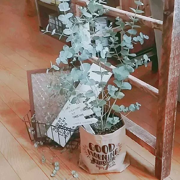 「マルチに使えるおすすめアイテム☆ダイソーのクラフト袋」の画像