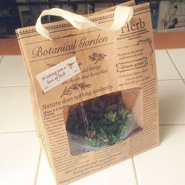 マルチに使えるおすすめアイテム☆ダイソーのクラフト袋