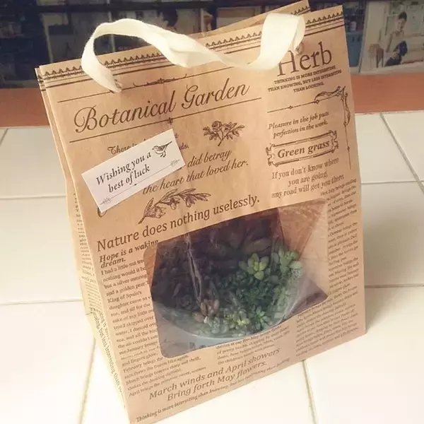 「マルチに使えるおすすめアイテム☆ダイソーのクラフト袋」の画像