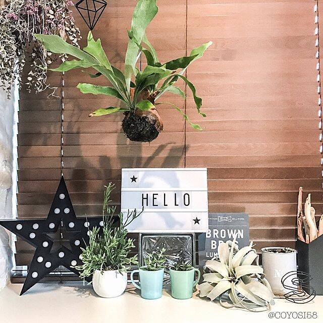 ミントグリーンに癒される セリアのファイヤーキング風 18年4月9日 エキサイトニュース