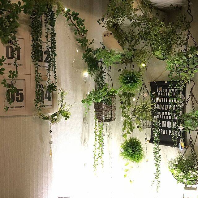 セリアのフェイクグリーンで 取り入れたいディスプレイ 18年6月9日 エキサイトニュース 2 3 セリアのフェイクグリーンで 取り入れたいディスプレイ 18年6月9日 エキサイトニュース 2 3