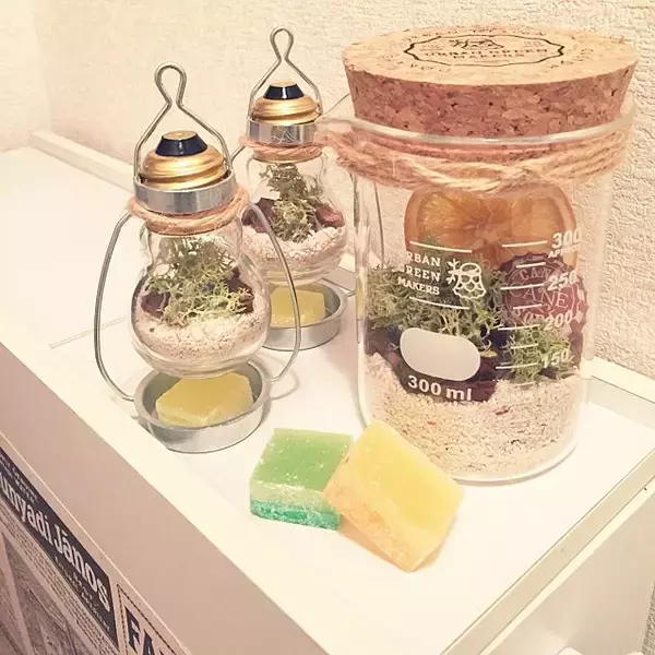 「小さな世界を楽しもう♪テラリウムで作る私だけの癒し空間」の画像