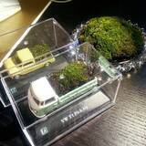 「小さな世界を楽しもう♪テラリウムで作る私だけの癒し空間」の画像7