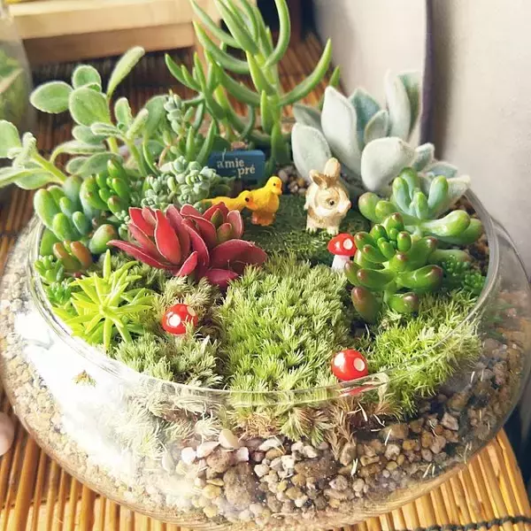 「小さな世界を楽しもう♪テラリウムで作る私だけの癒し空間」の画像