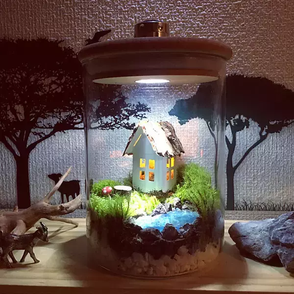 「小さな世界を楽しもう♪テラリウムで作る私だけの癒し空間」の画像
