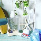 「小さな世界を楽しもう♪テラリウムで作る私だけの癒し空間」の画像6