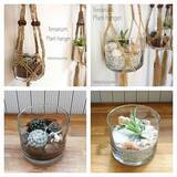 「小さな世界を楽しもう♪テラリウムで作る私だけの癒し空間」の画像3