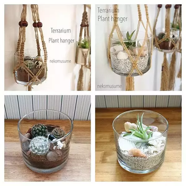 「小さな世界を楽しもう♪テラリウムで作る私だけの癒し空間」の画像