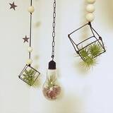 「小さな世界を楽しもう♪テラリウムで作る私だけの癒し空間」の画像4