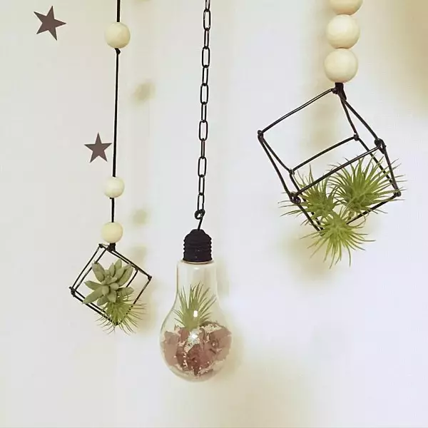 「小さな世界を楽しもう♪テラリウムで作る私だけの癒し空間」の画像